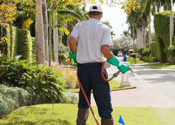 About Iredell TX Pest Control